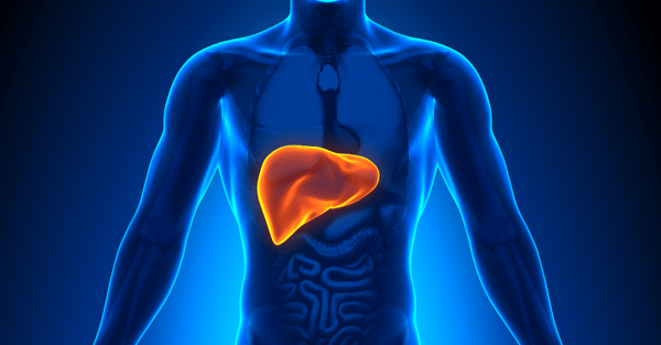 What is Hepatic Clearance?