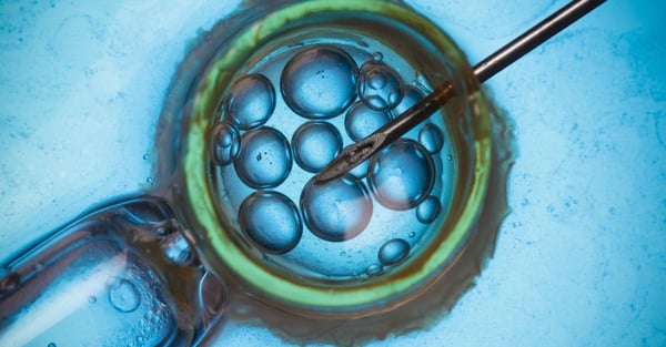 in Vivo vs in Vitro Testing - What's The Difference?
