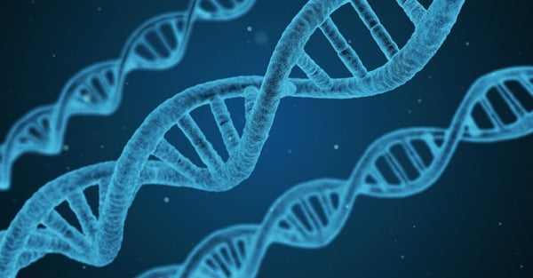 Define CRISPR: What Is It and How Is It Used in Drug Discovery