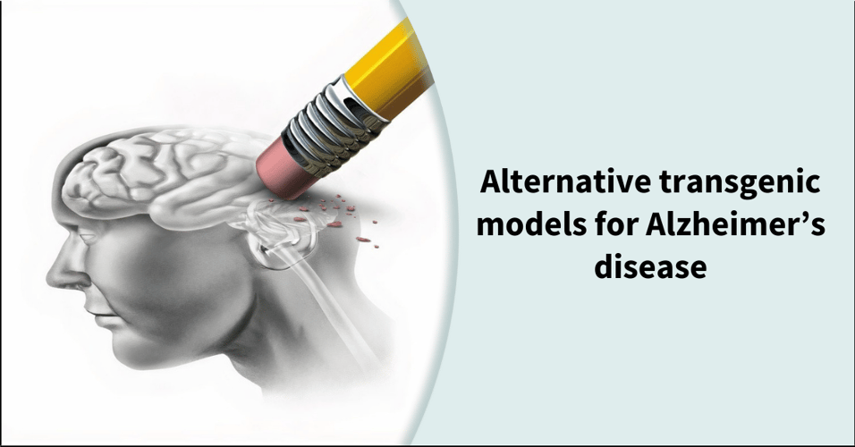 Alternative transgenic models for Alzheimer’s disease