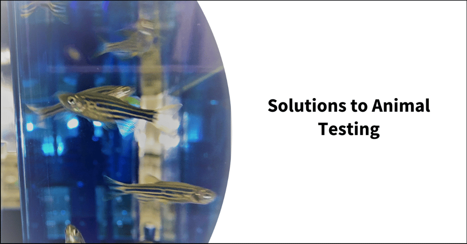 Solutions to Animal Testing