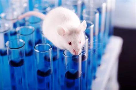 How to Reduce Animal Testing in Pre-Clinical Studies