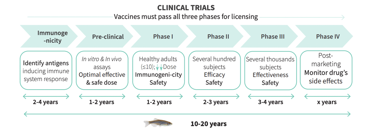 The Drug Discovery Process: What Is It and Its Major Steps