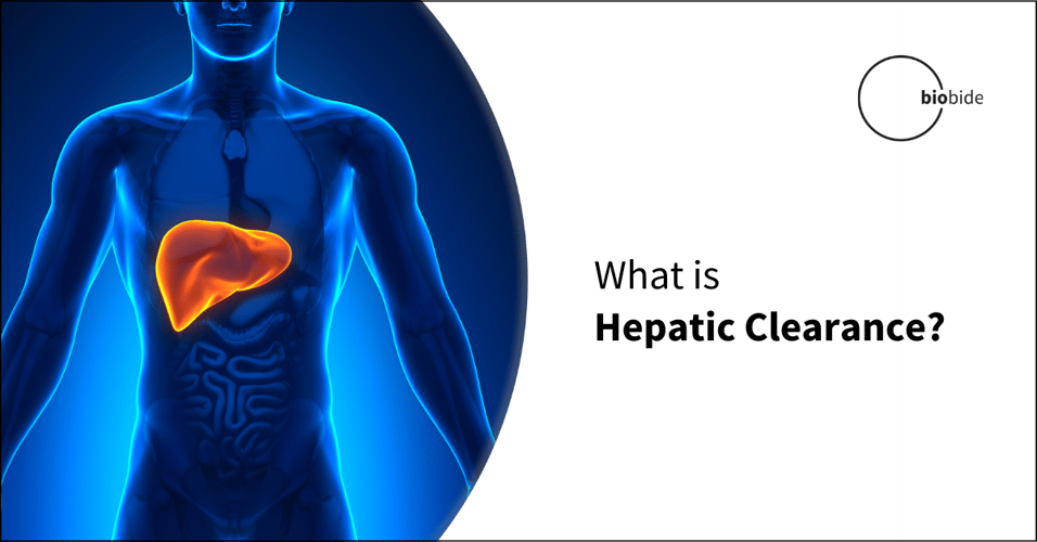 What is Hepatic Clearance?