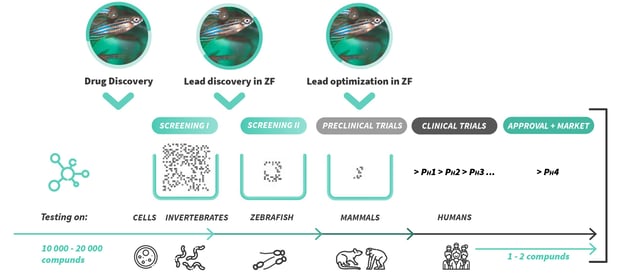 The Drug Discovery 