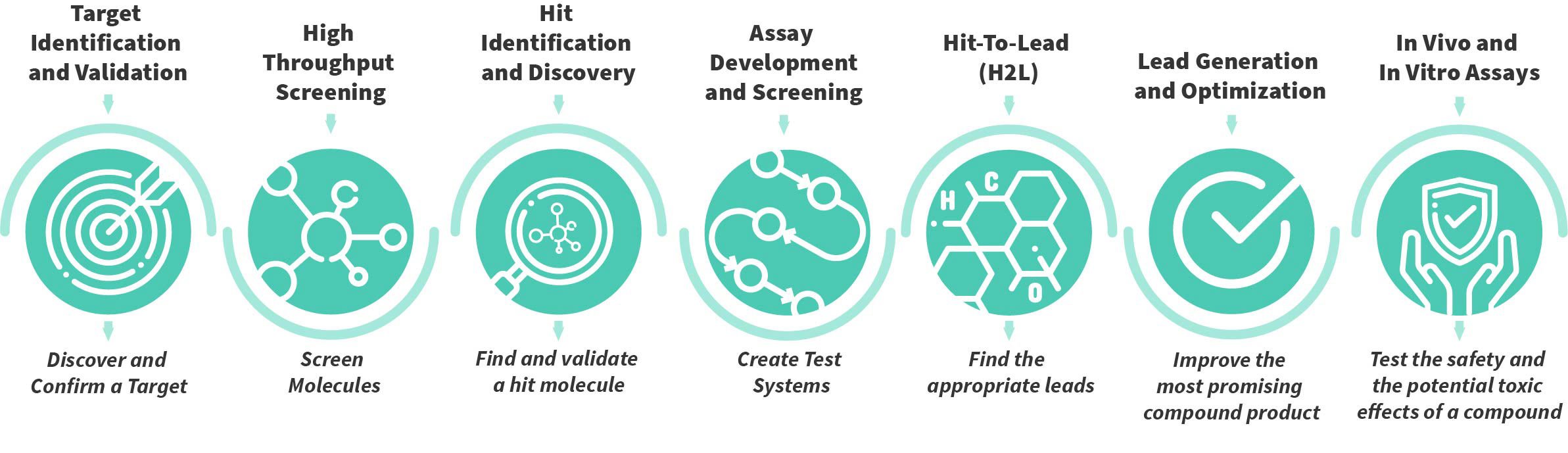 The Drug Discovery Process: What Is It And Its Major Steps