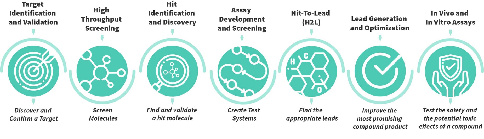 How Drug Discovery Works