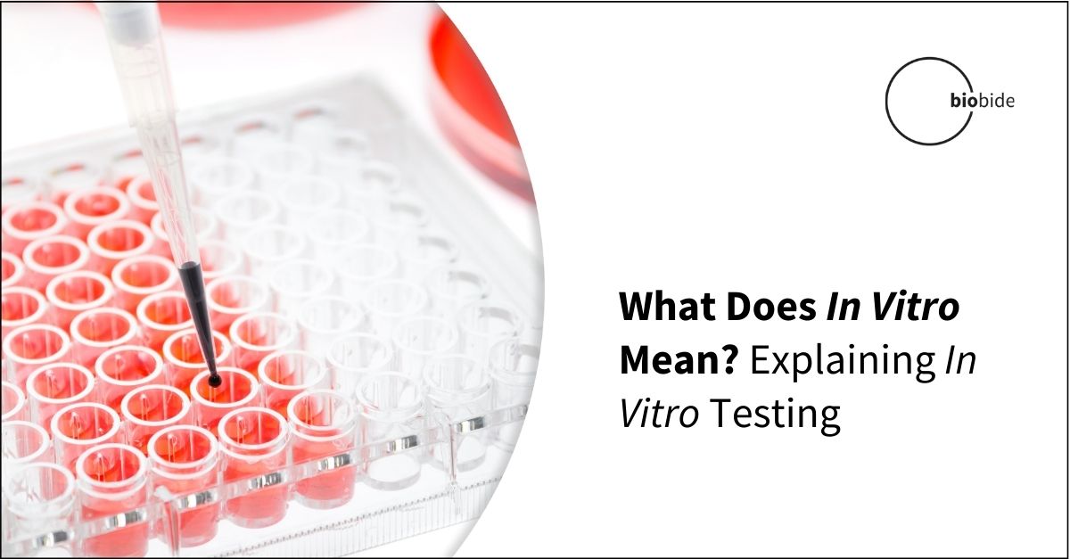 A diagram depicting in vivo and in vitro testing.