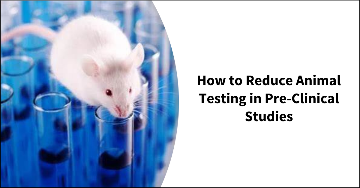 How to Reduce Animal Testing in Pre-Clinical Studies