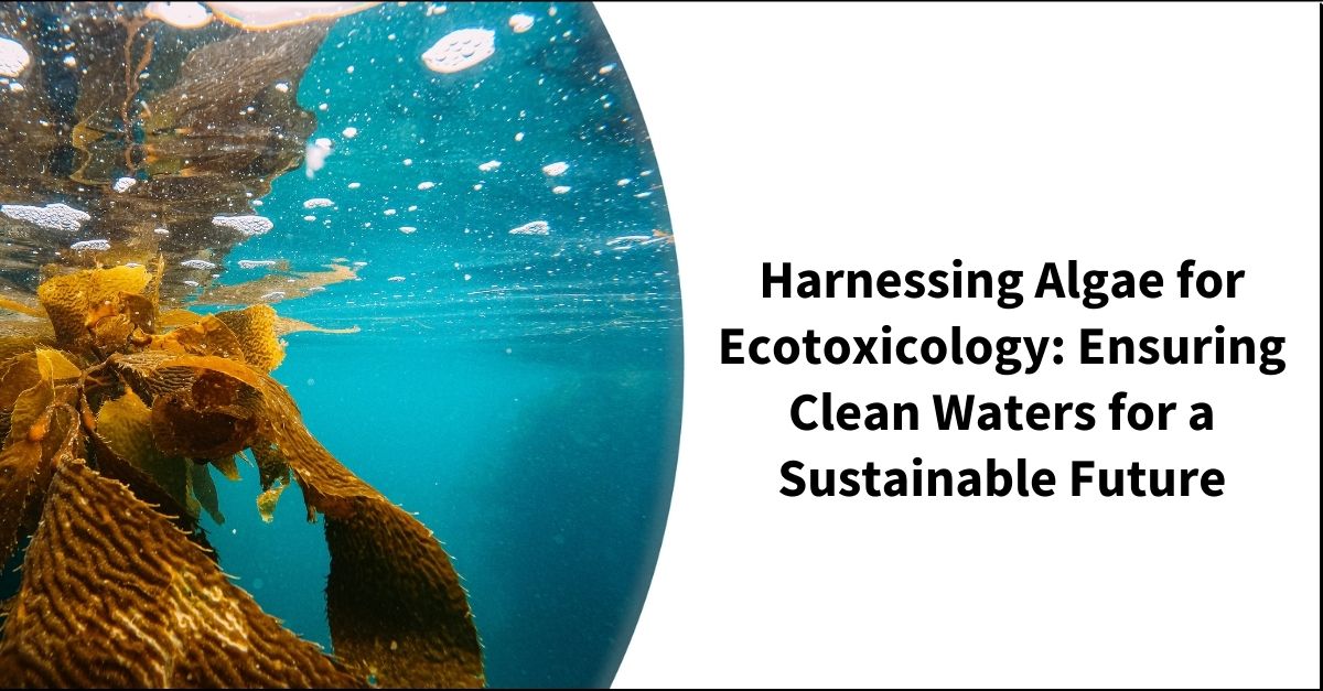 Gallery Detail: Harnessing Algae For Ecotoxicology Ensuring A Clean Environment For A