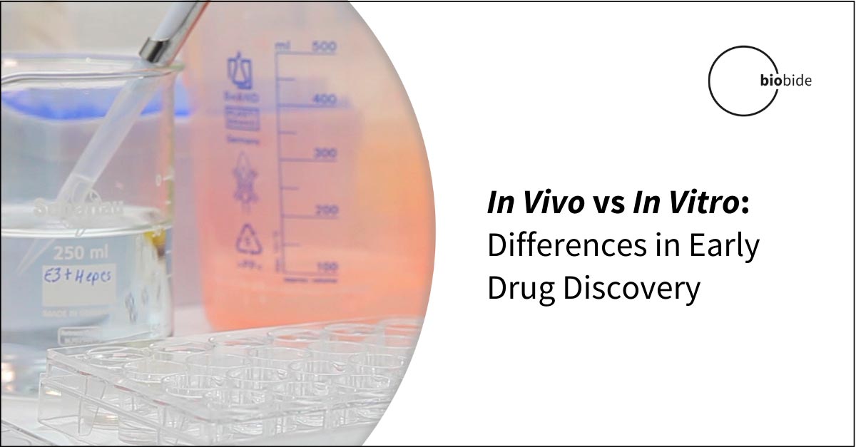 In Vitro vs In Vivo Preclinical Studies
