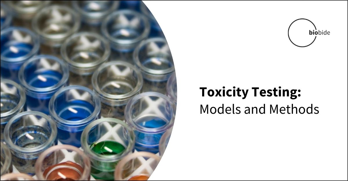 Importance of toxicity testing in drug discovery and research