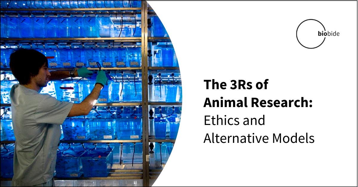 The 3Rs of Animal Research: Ethics and Alternative Models
